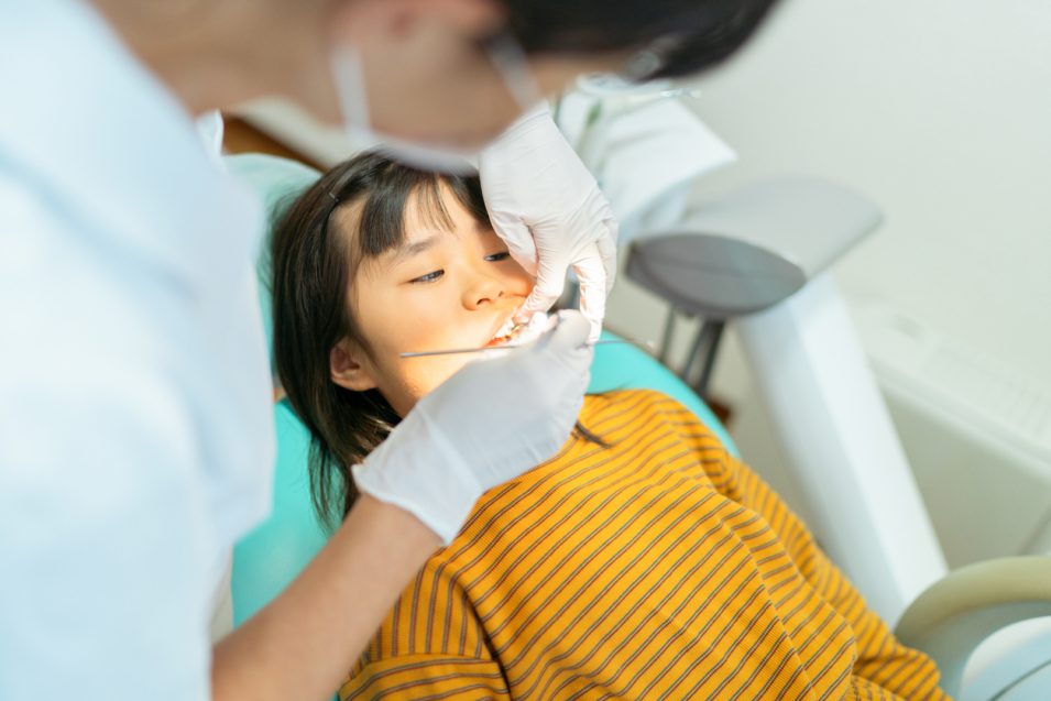 Small girl getting check up at dentist