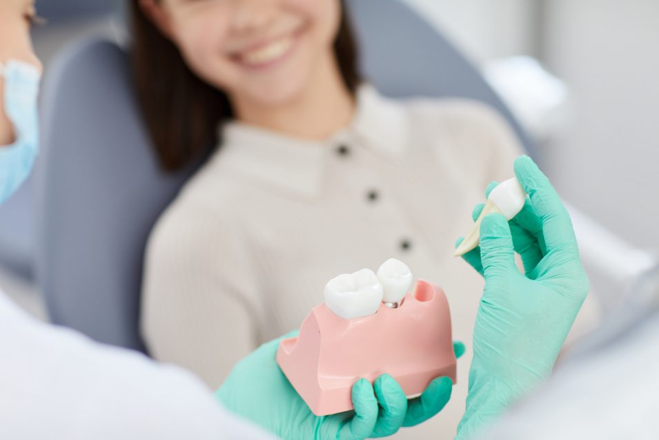 dentist showing extracted tooth model to patient
