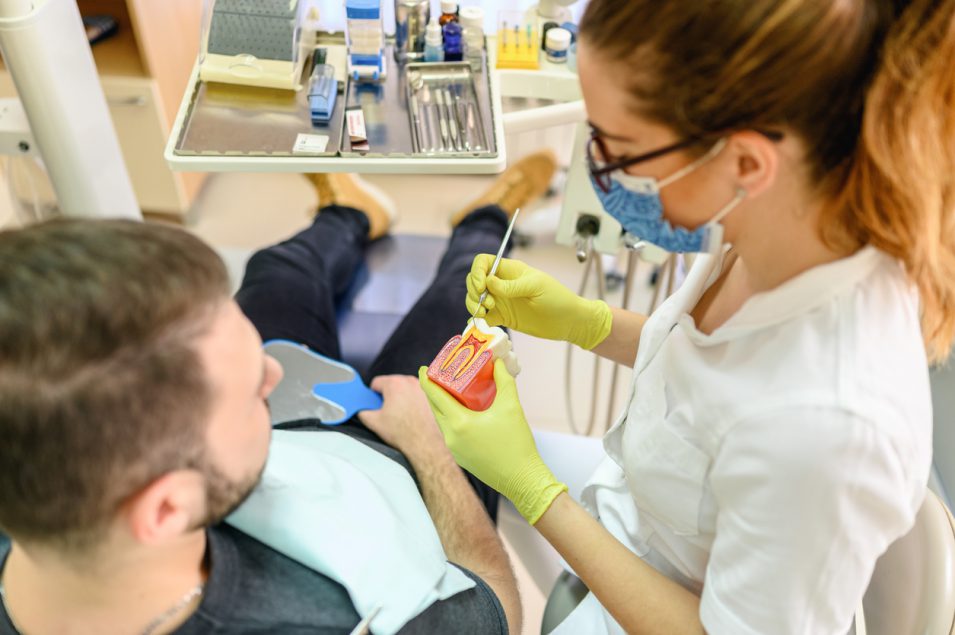 endodontist holding root canal model