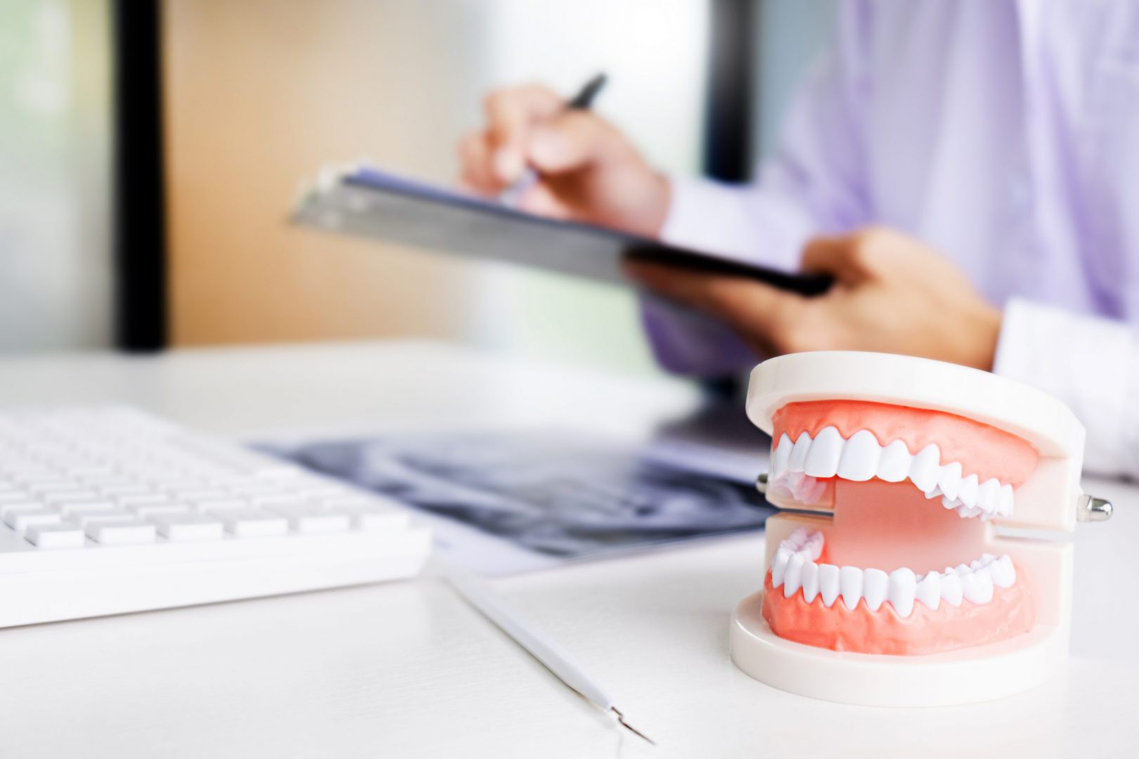 gum grafted tooth model at hamilton dentist desk